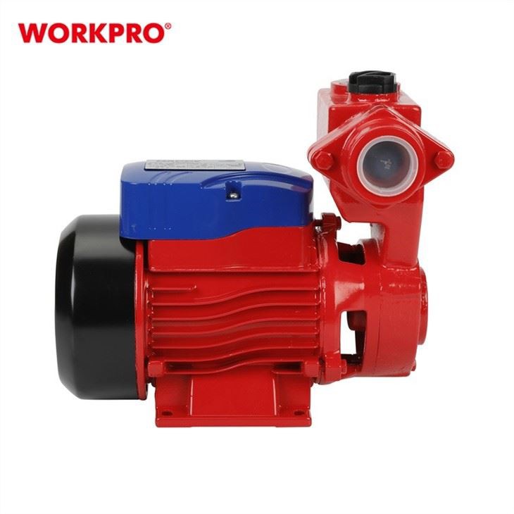 WP421001-2