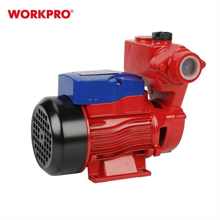 WP421001-3
